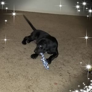 Meet your Posher, Laura